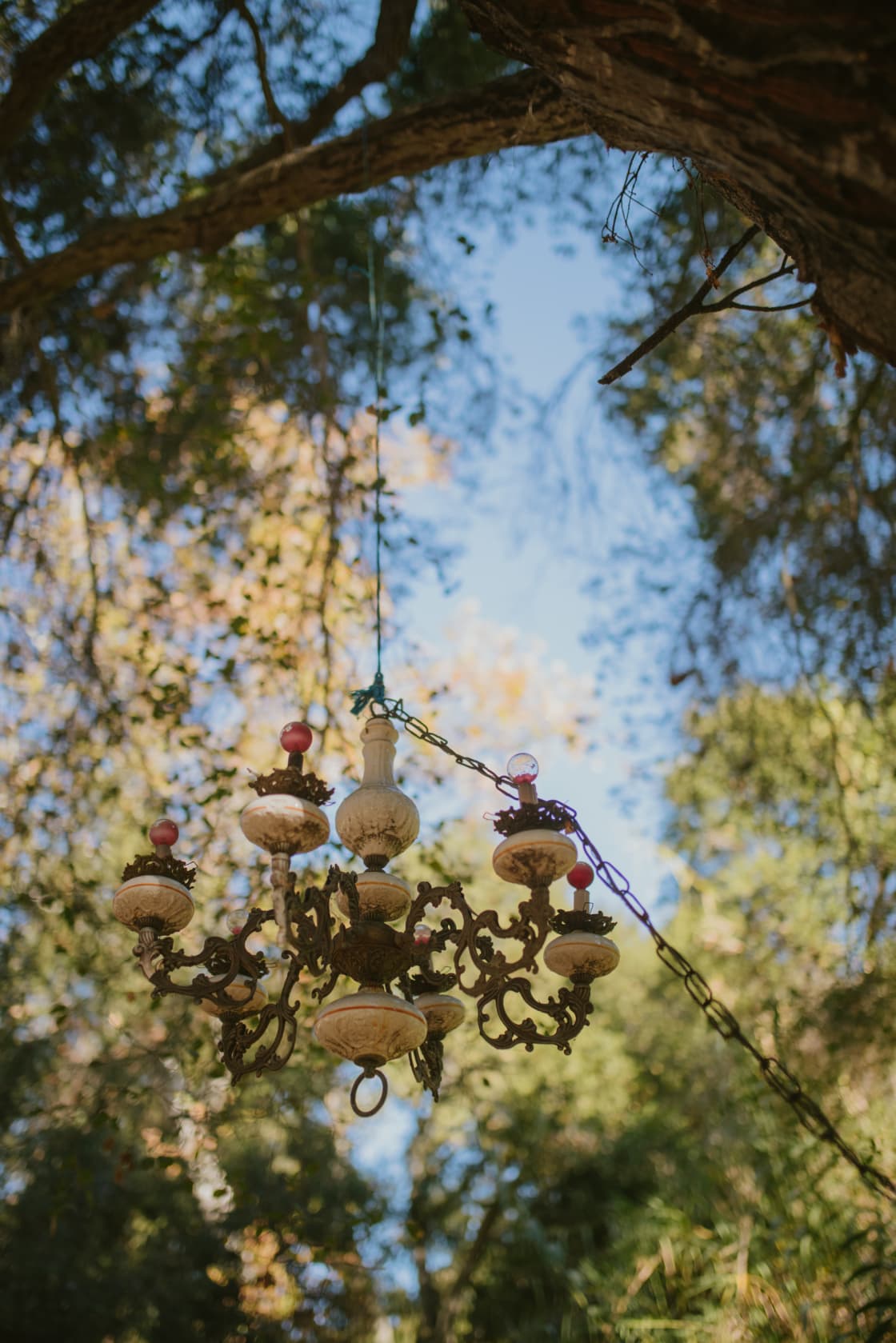 Charming chandelier in the trees. 