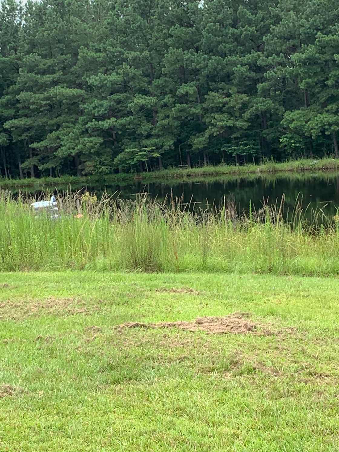 Family farm with wooded areas Hipcamp in Stuckey, South Carolina