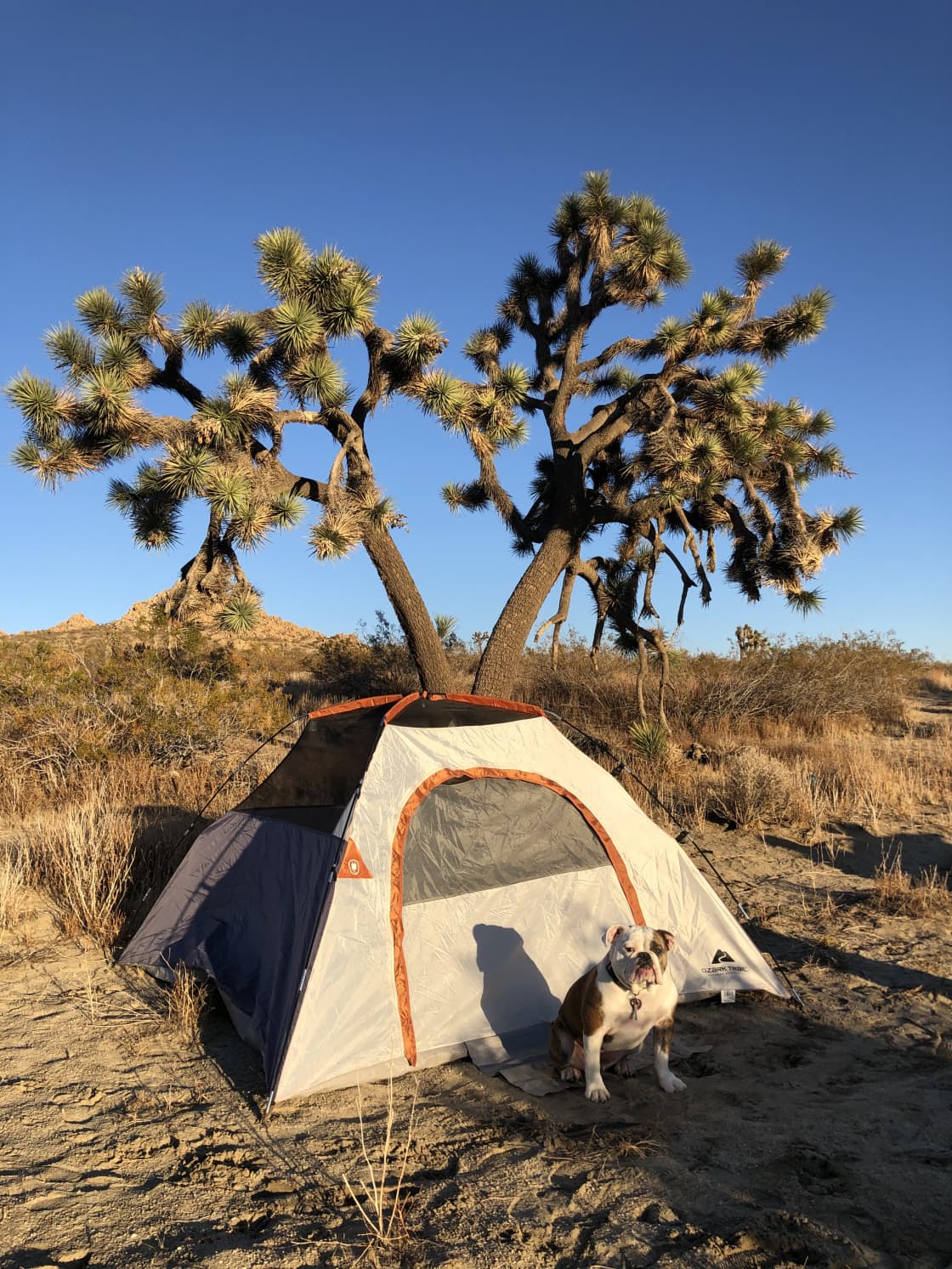 Antelope Valley Camp Site