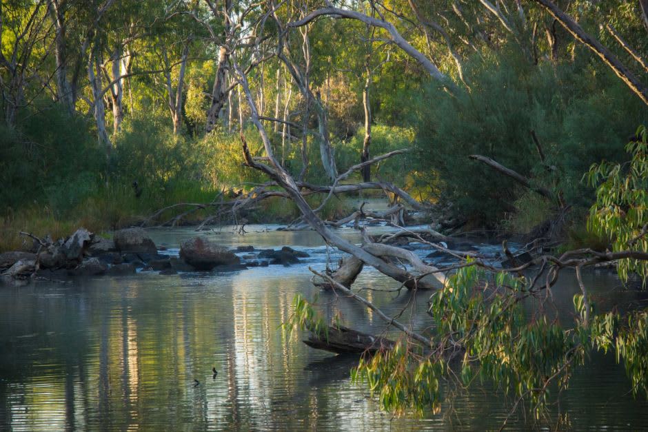 Loddon River (image credit: https://www.abc.net.au/)
