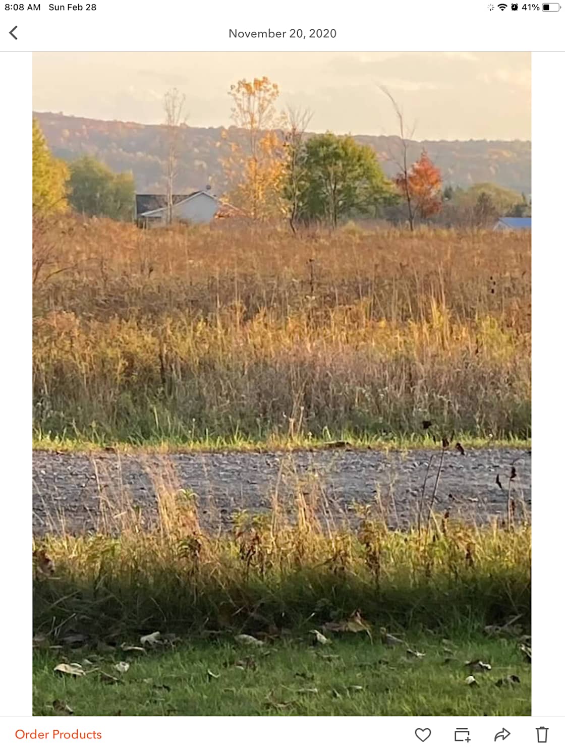 Freeville Freedom Farm Hipcamp in Freeville, New York