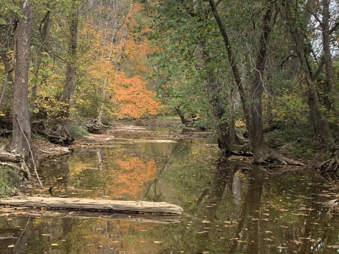Beautiful Buck Creek in Fall