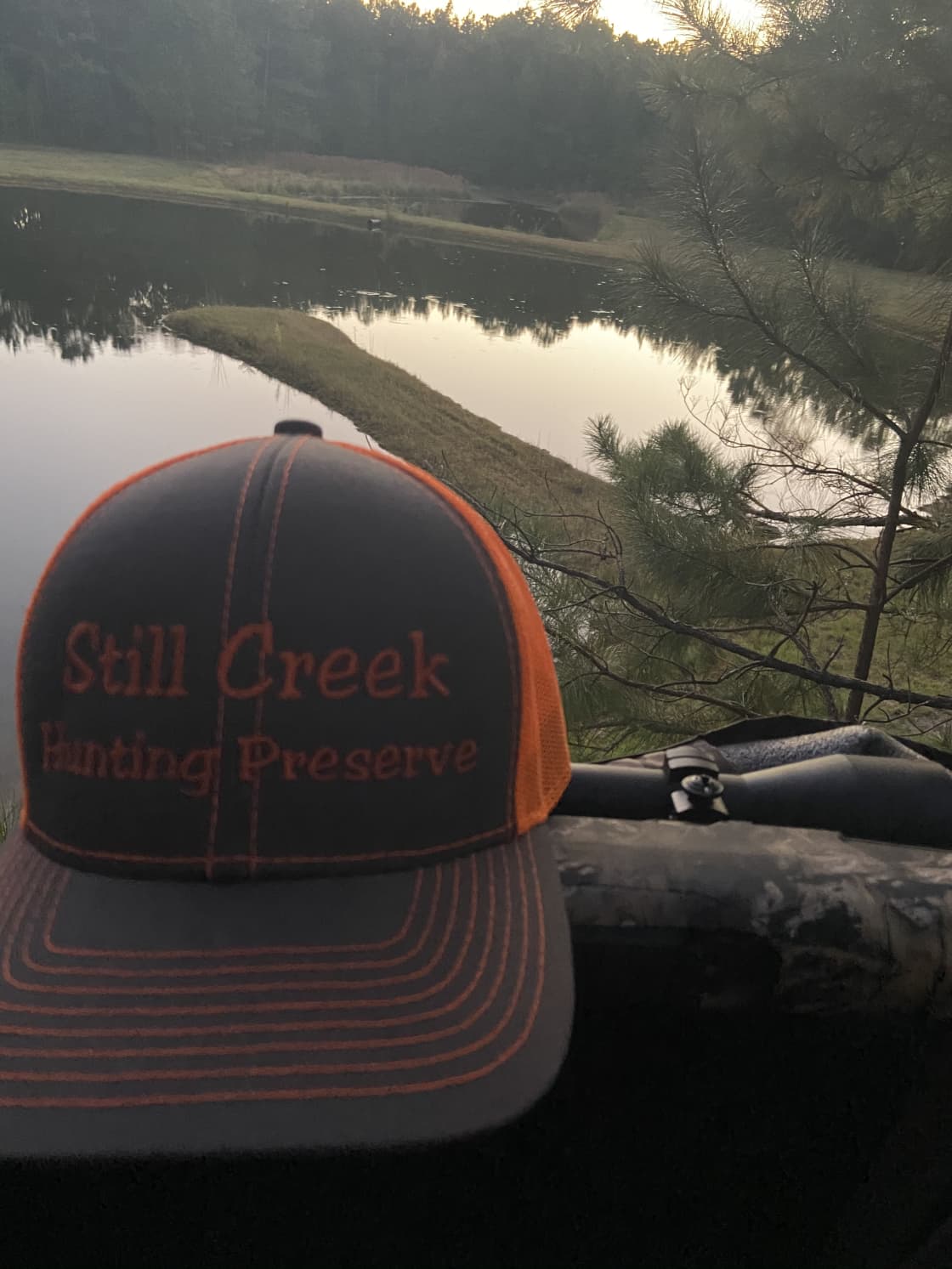 Still Creek preserve