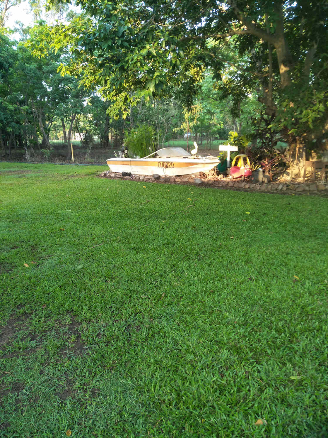 Boganvilla - Photo 2