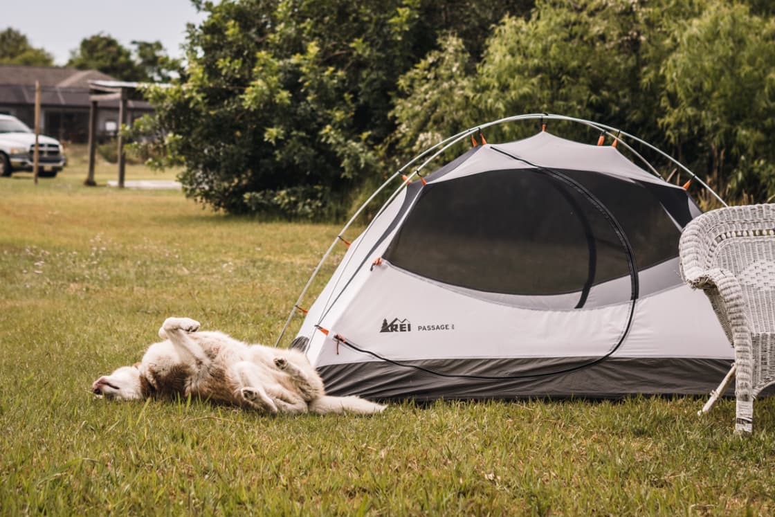 The campsites are dog approved!