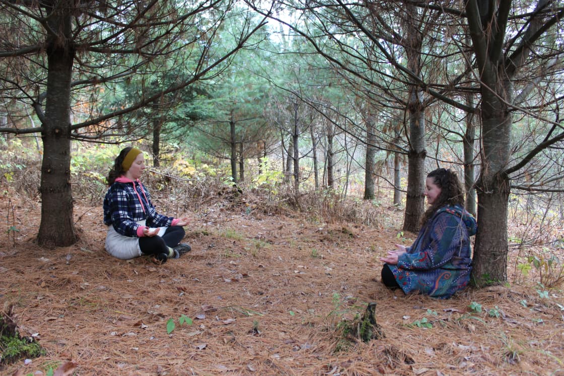 "Meditation Grove" a quiet shady spot among the pine tress