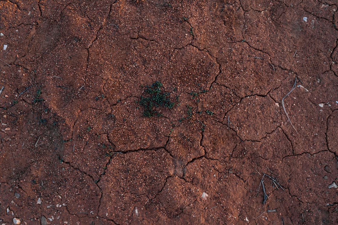 Red Arizona dirt. 