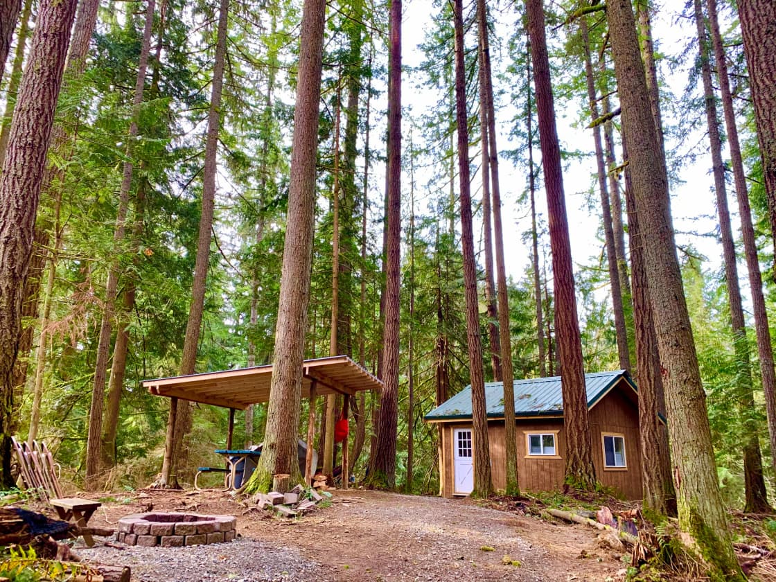 Mini Forest Cabin 1