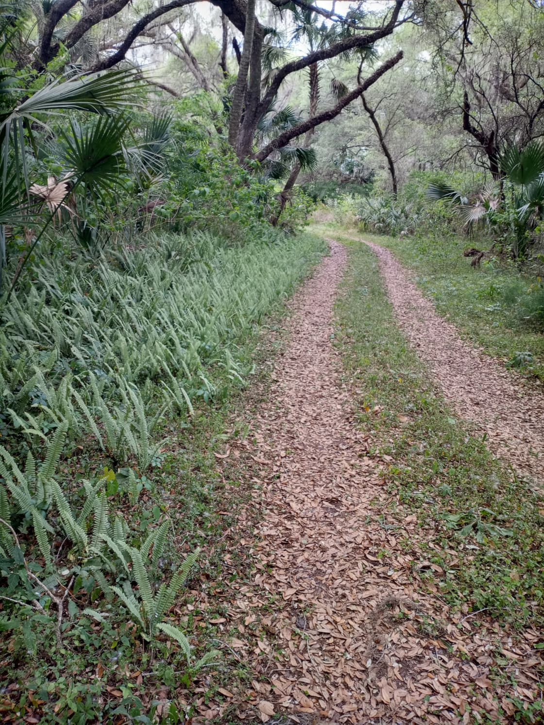 Part of the miles of trails next to the campsites