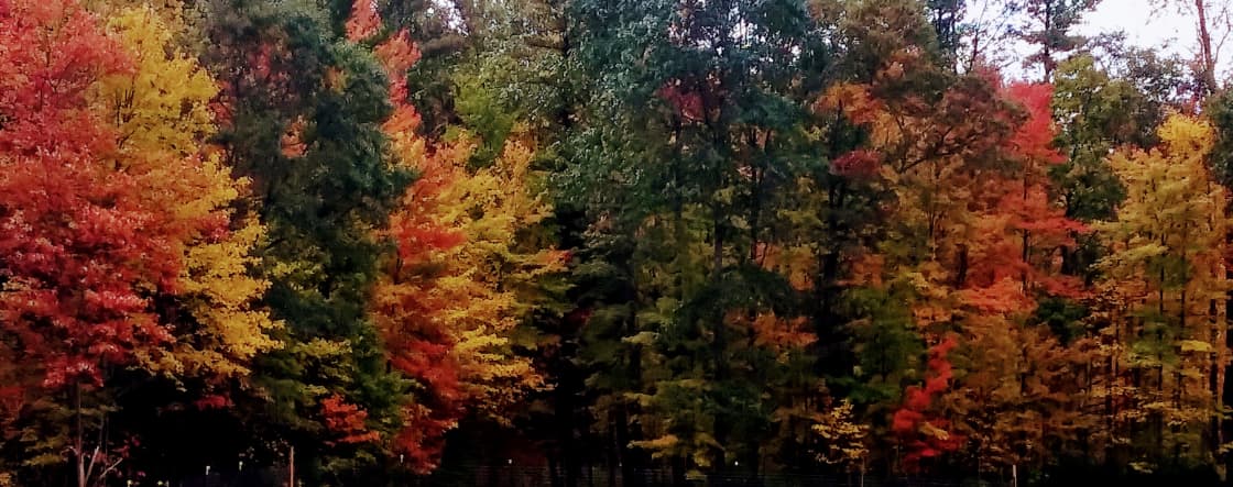 Fall Colors on the Farm