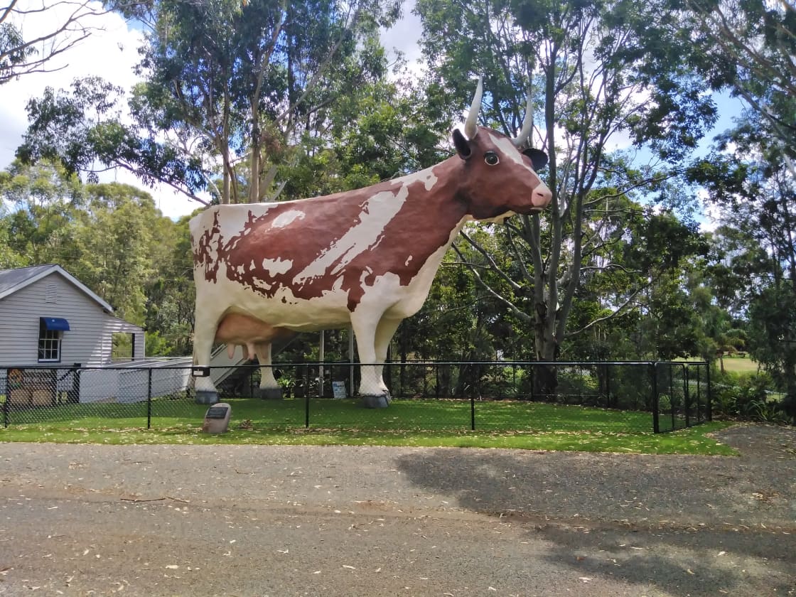 The big cow 