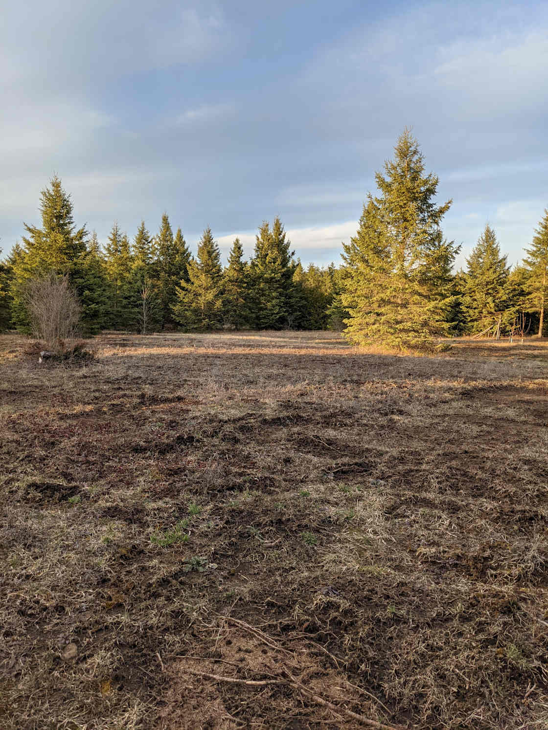 Gillian M.’s Land Hipcamp in Montague, Ontario