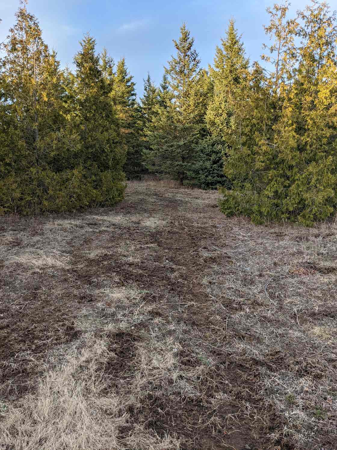 Gillian M.’s Land Hipcamp in Montague, Ontario