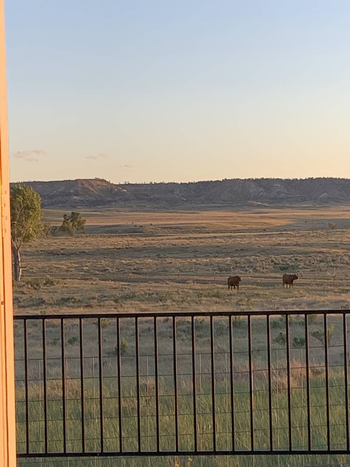 Remote & quiet Wyoming ranch.