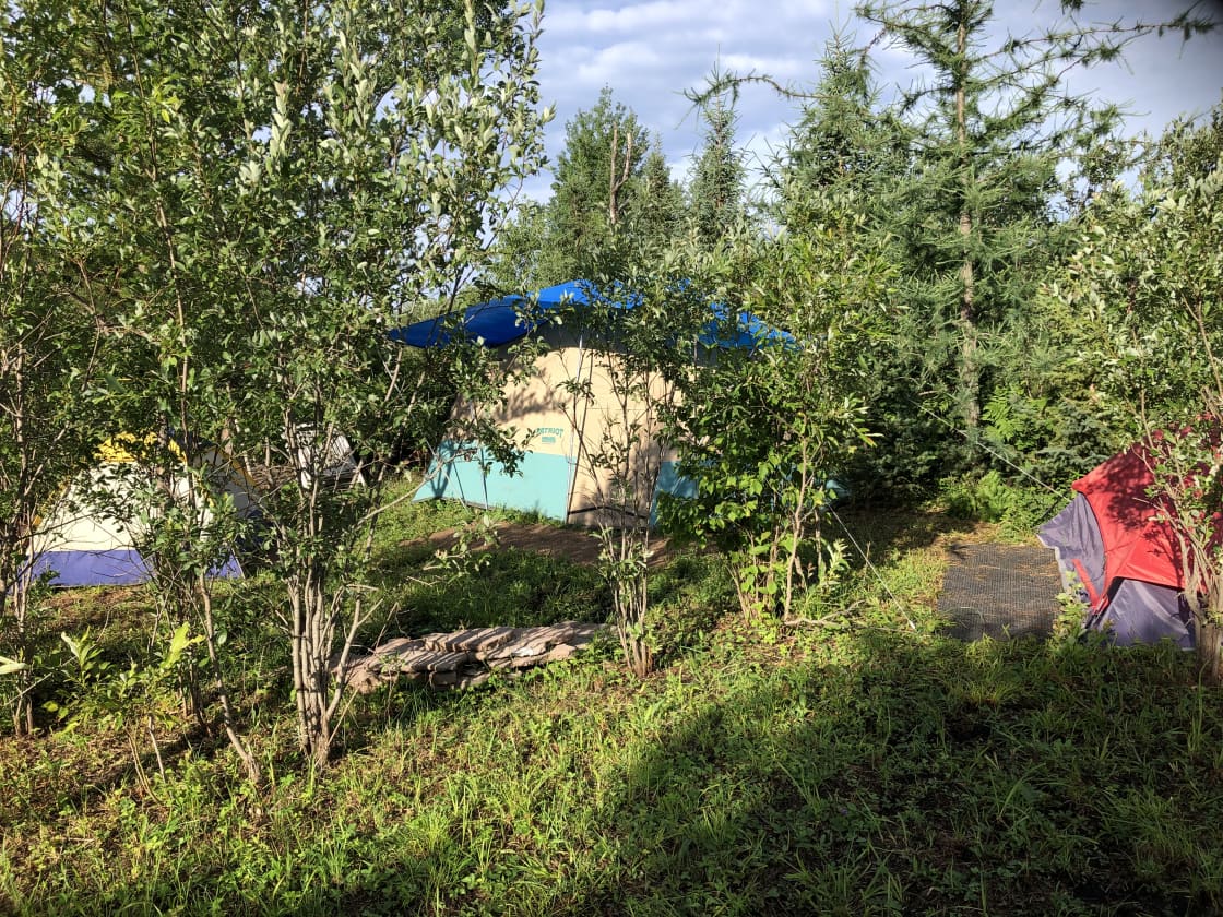 Primitive campsite amongst the trees with an open view. 