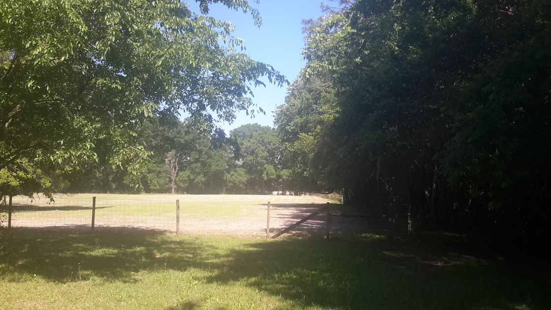 Castanea Farm Hipcamp in Alachua, Florida