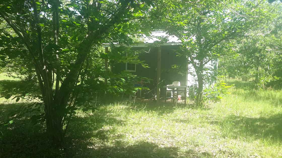 Castanea Farm Hipcamp in Alachua, Florida