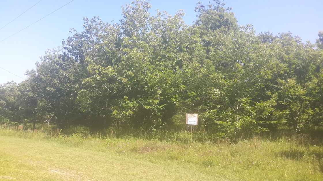 Castanea Farm Hipcamp in Alachua, Florida