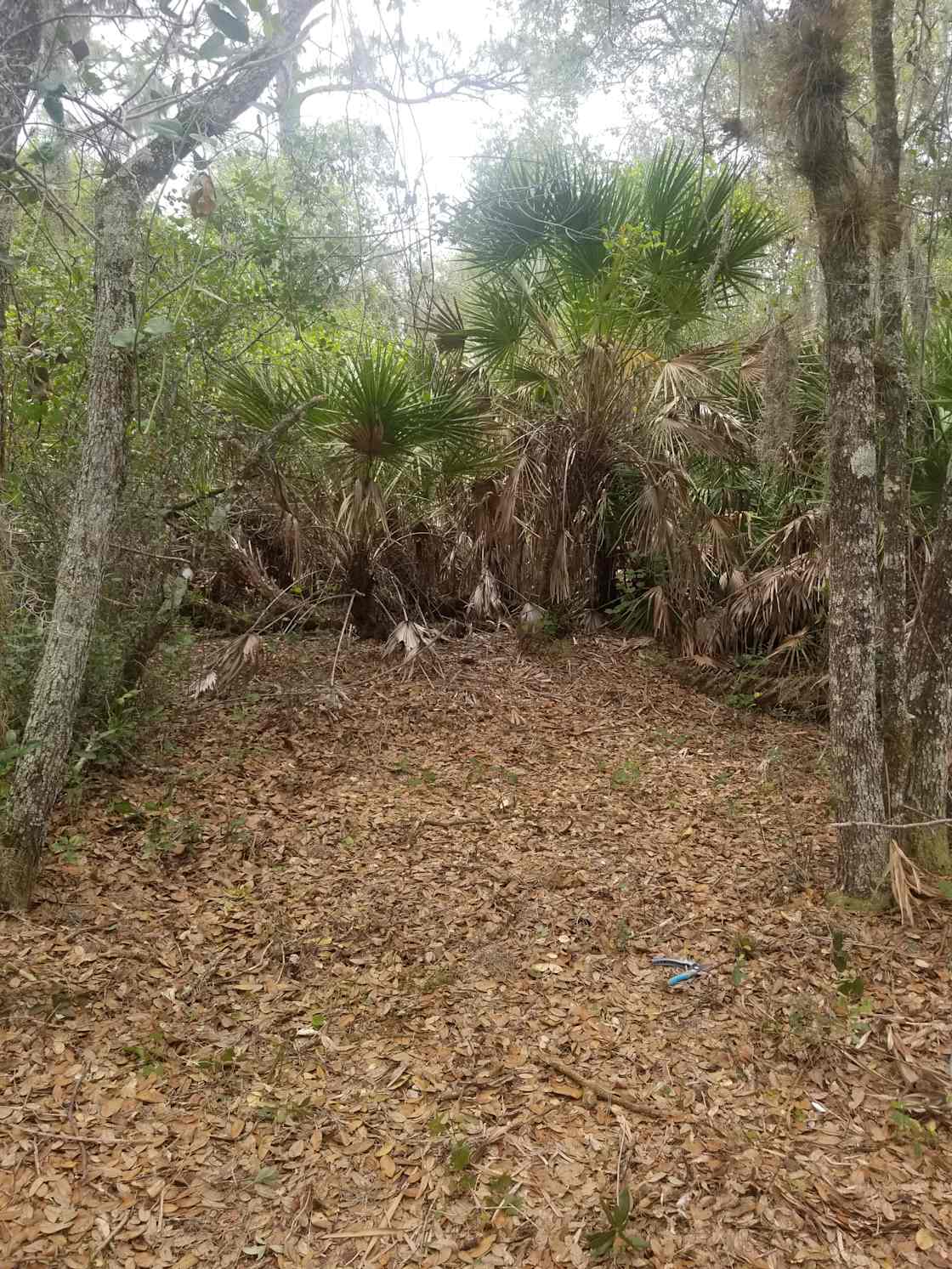 Mariposa village Hipcamp in Port Charlotte, Florida