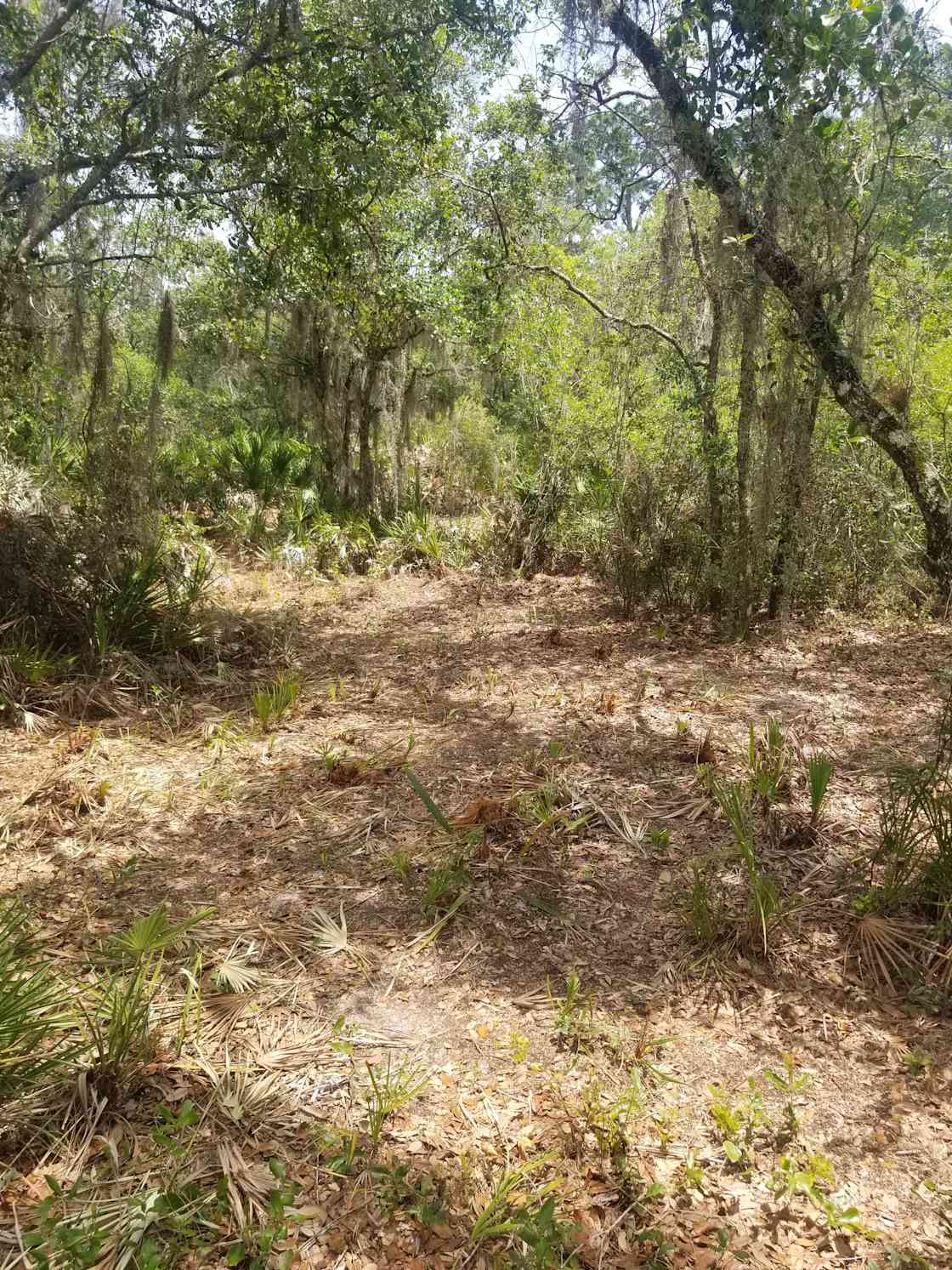 Mariposa village Hipcamp in Port Charlotte, Florida