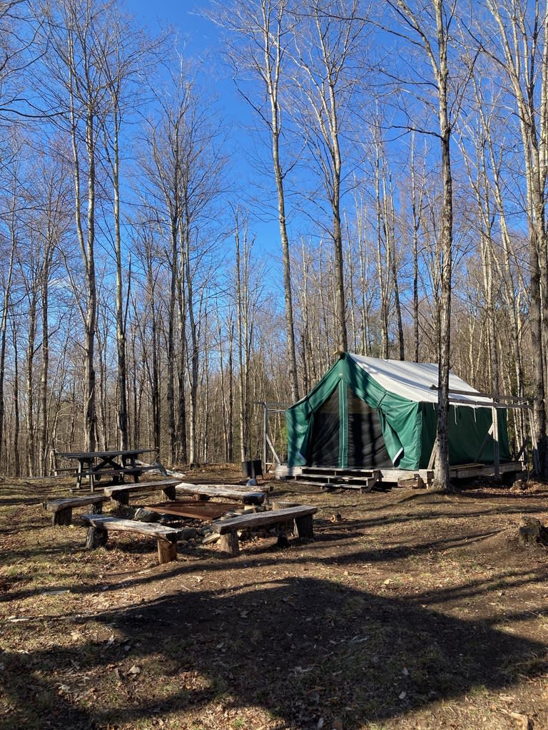 Canvas platform tent in the woods