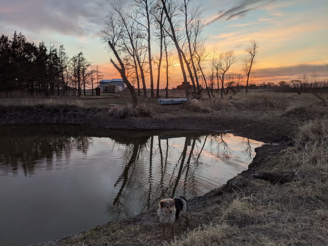 Johnny enjoying a quiet spring evening on the east side of the pond
