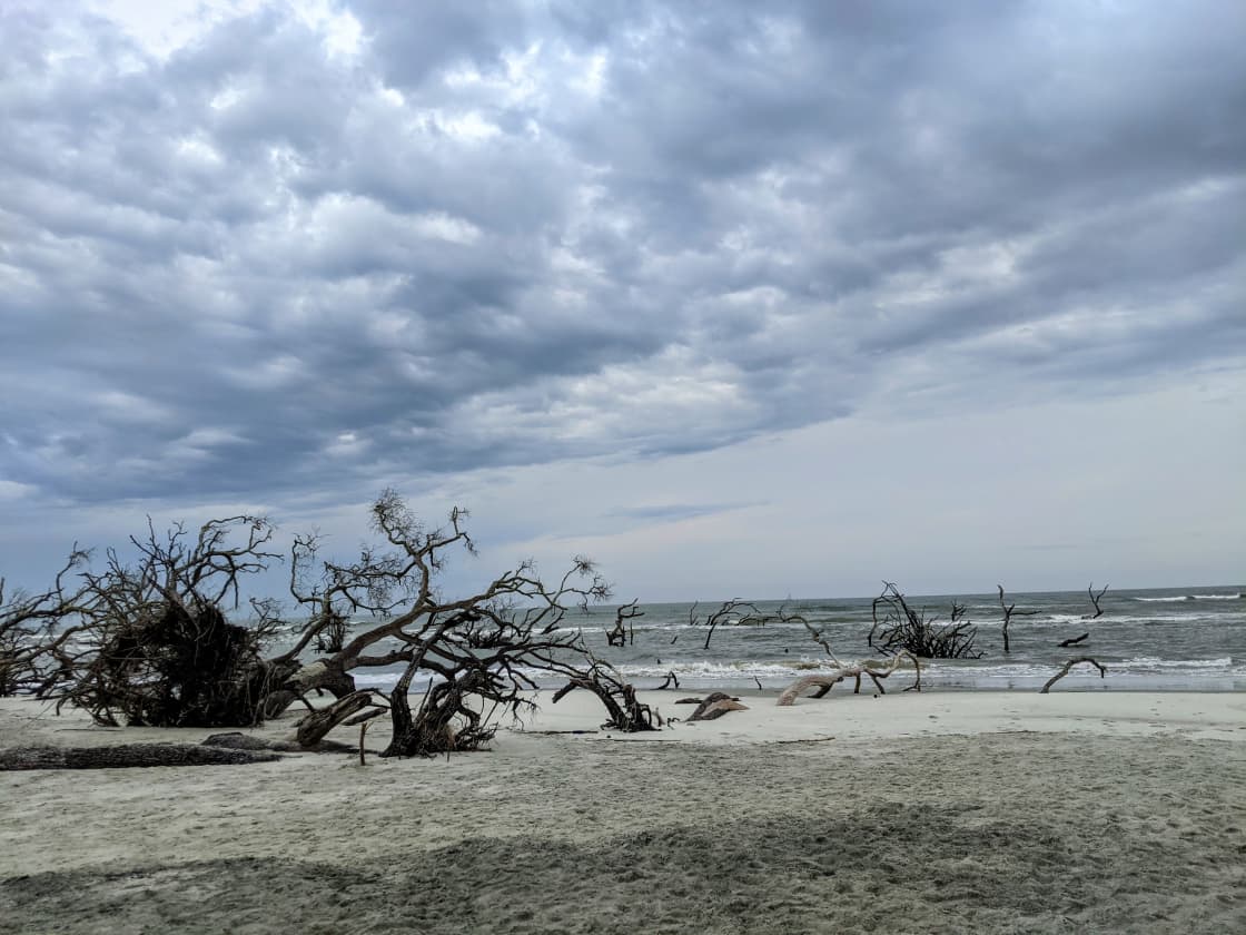 Hunting Island State Park- Little Hunting Island