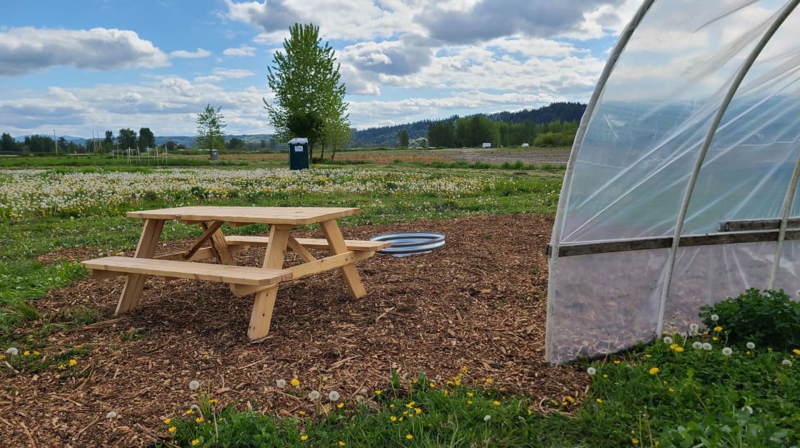 Each spot has a hoop house, picnic table, firepit and at least 1 acre to get lost in.   2021 picture.  2022 removed woodchips as a fire safety precaution.