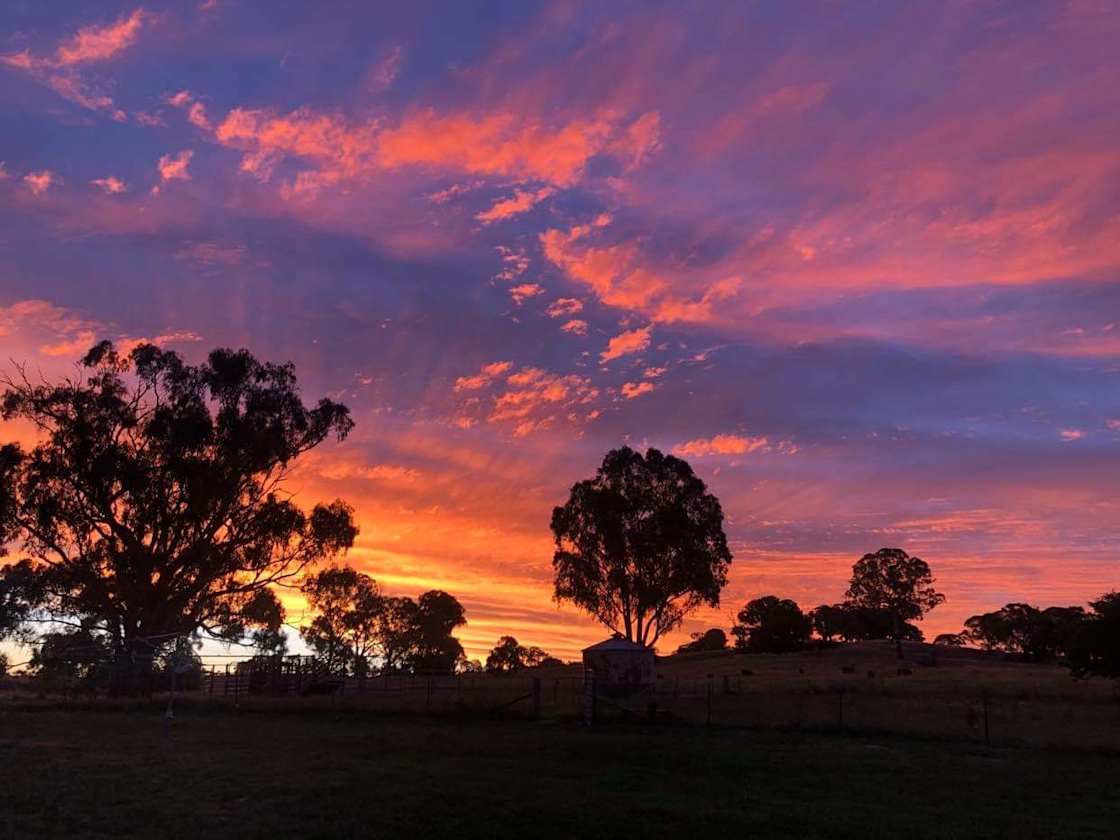 Lyndhurst Rolling Hills - Hipcamp in Lyndhurst, New South Wales