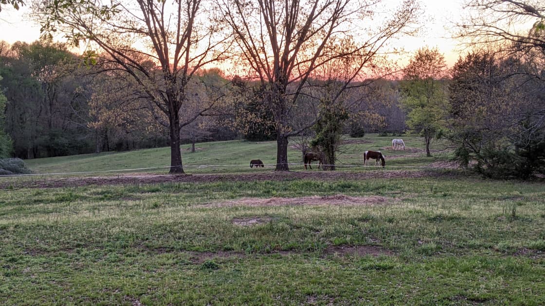 Oak Creek Horse Farm