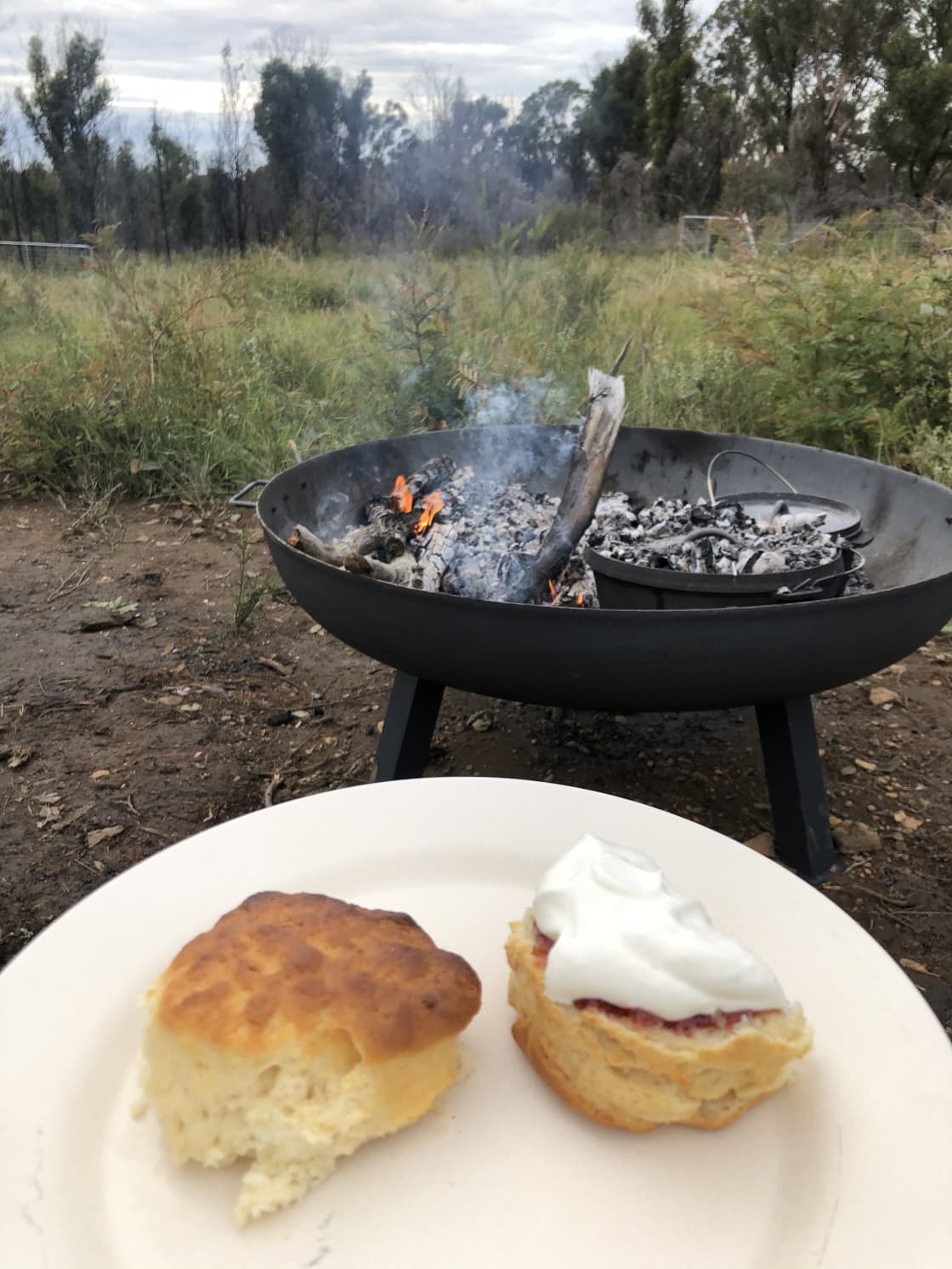 Scones in the camp oven