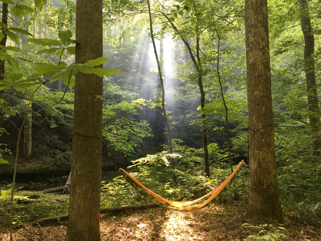Many beautiful spots for relaxing in your hammock