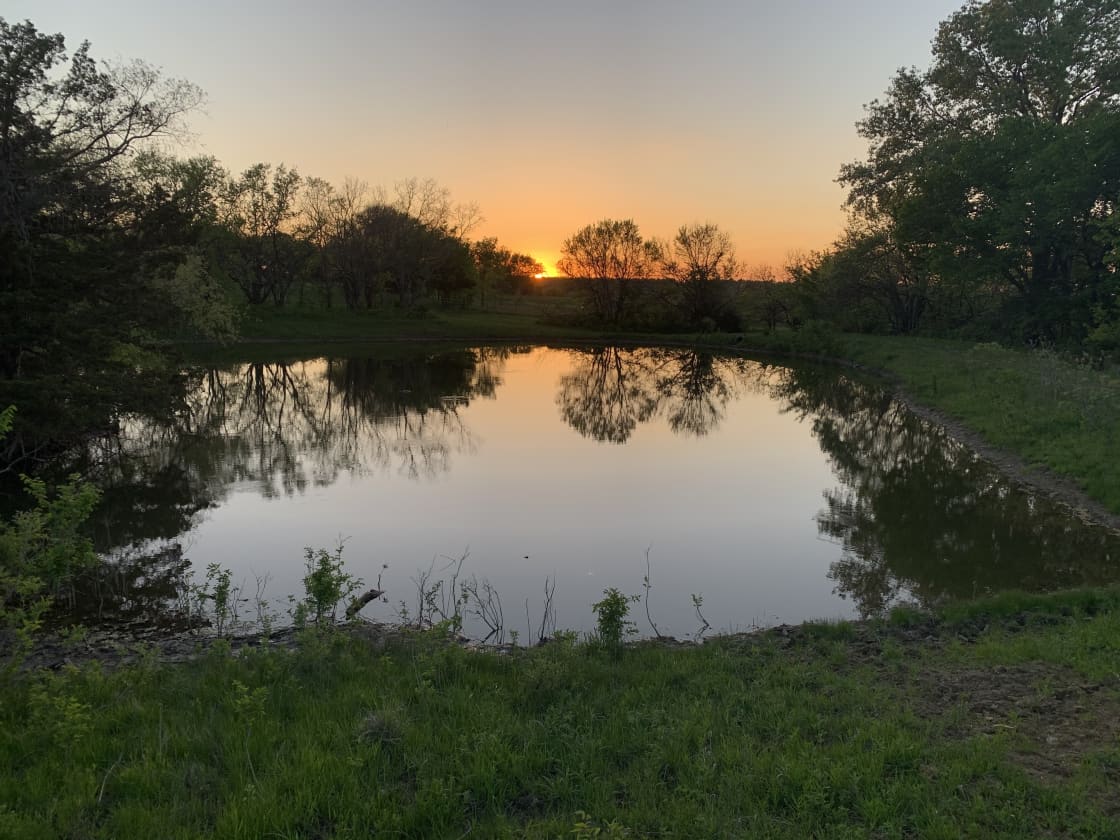 View of the Tweener Pond at sunrise.