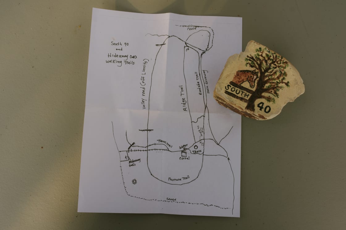 Map of the property and a hand-painted souvenir.