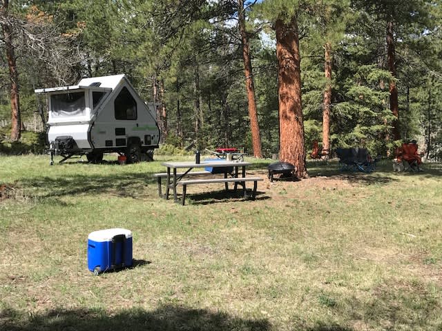 Plenty of room for one trailer, complete with a picnic table and fire pit.