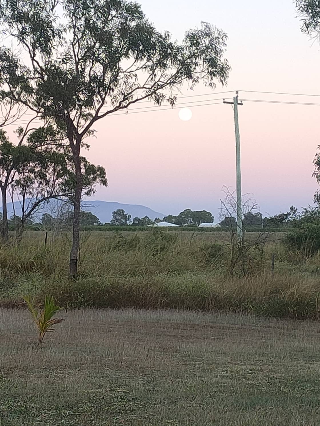 Early morning with full moon on our property
