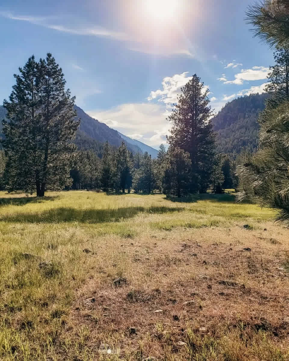 TK Ranch - Hipcamp in Stevensville, Montana