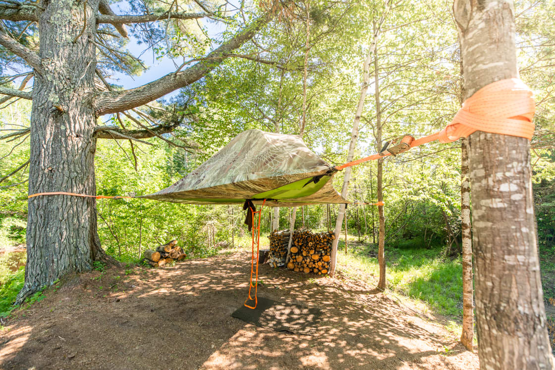 Tree tent with a pile of firewood.