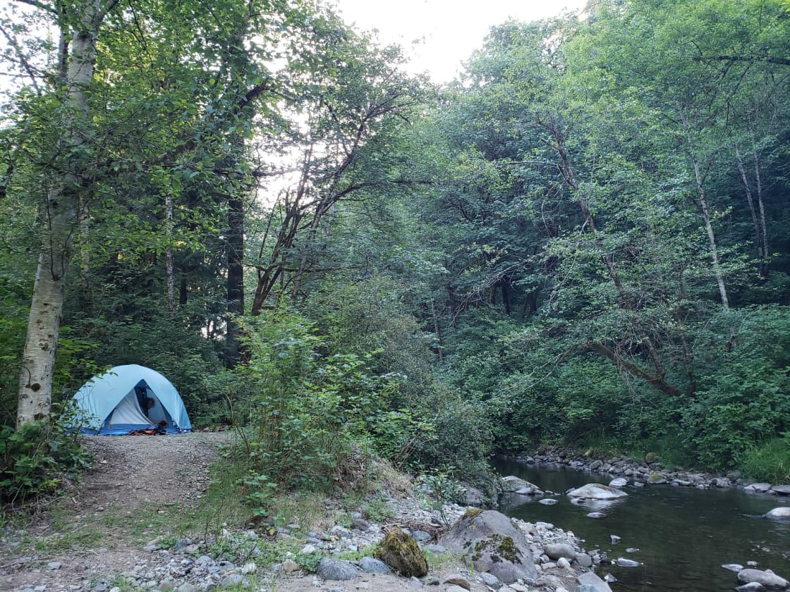 Camping in forest, next to a creek.