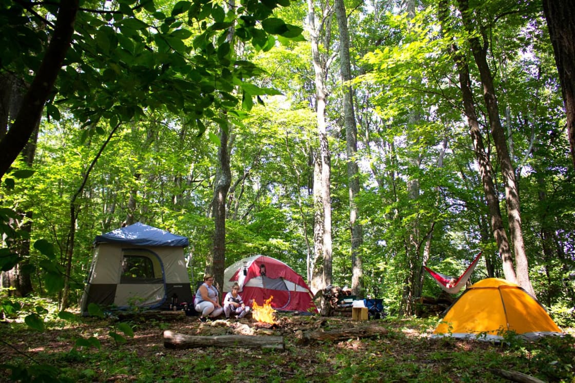 Greenheart Forest Campground