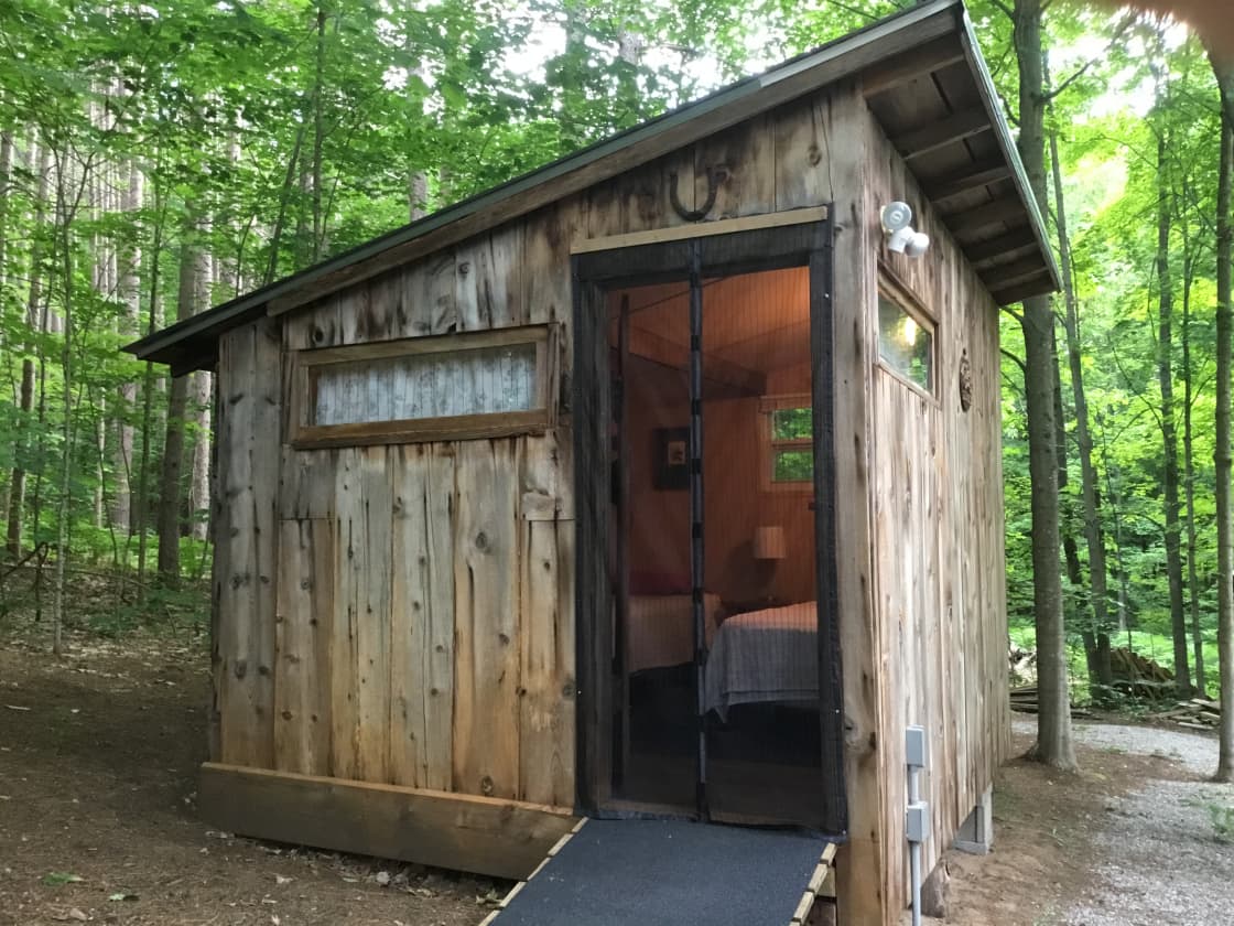 Bunkhouse in the Pines