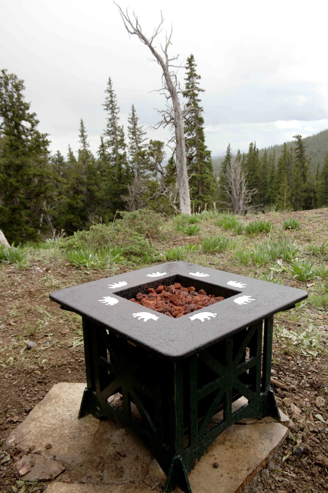 Propane Fire pit.  Its just not camping without a fire!  This is the only type of fire pit allowed during a fire ban.