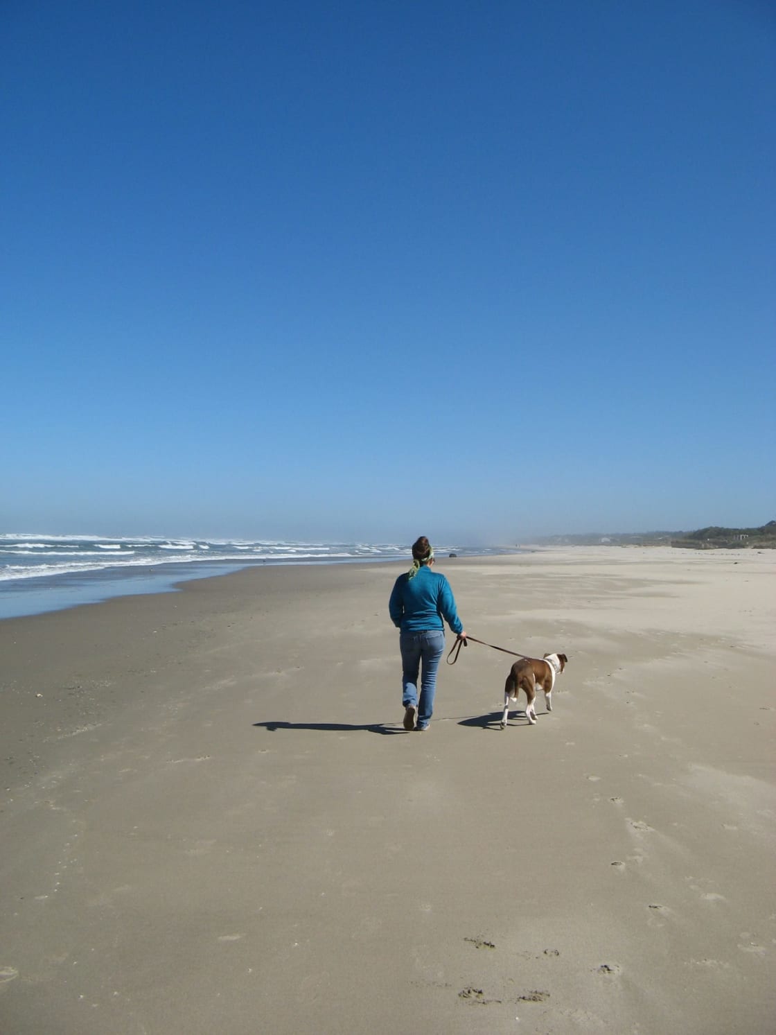 This stretch of beach is a 15 minute walk from home.  You can walk all the way to Yachats on the beach