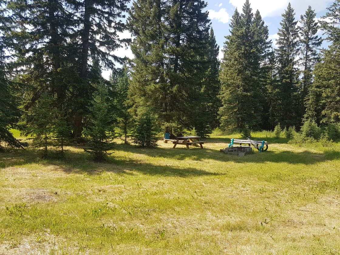 Meadow Site (Site 1) is great for RV's of all sizes.  
