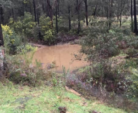 The small dam is home to protected species of native yabbies and frequented by ducks and geese