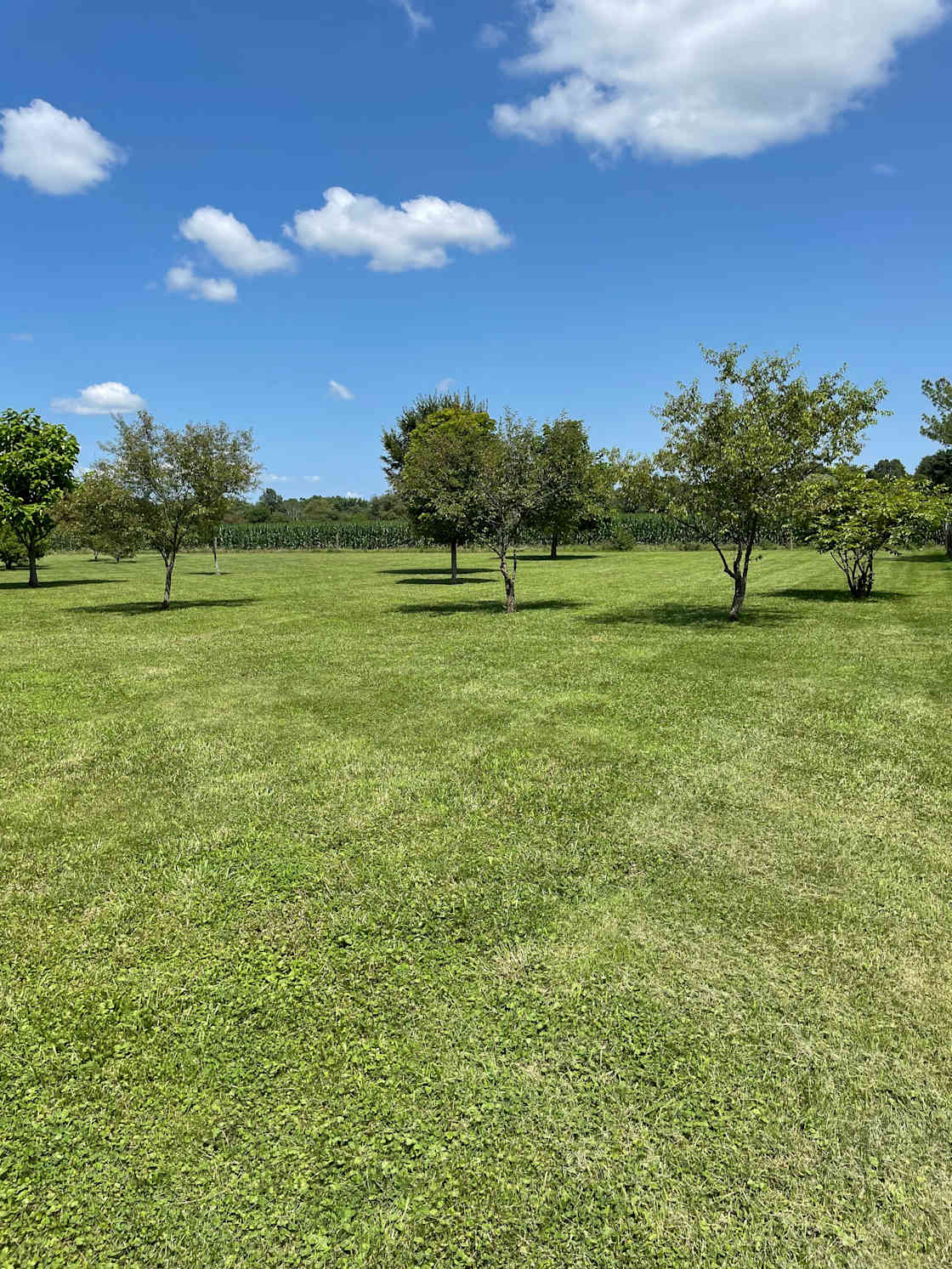 Joseph H.’s Land Hipcamp in Pittsboro, Indiana