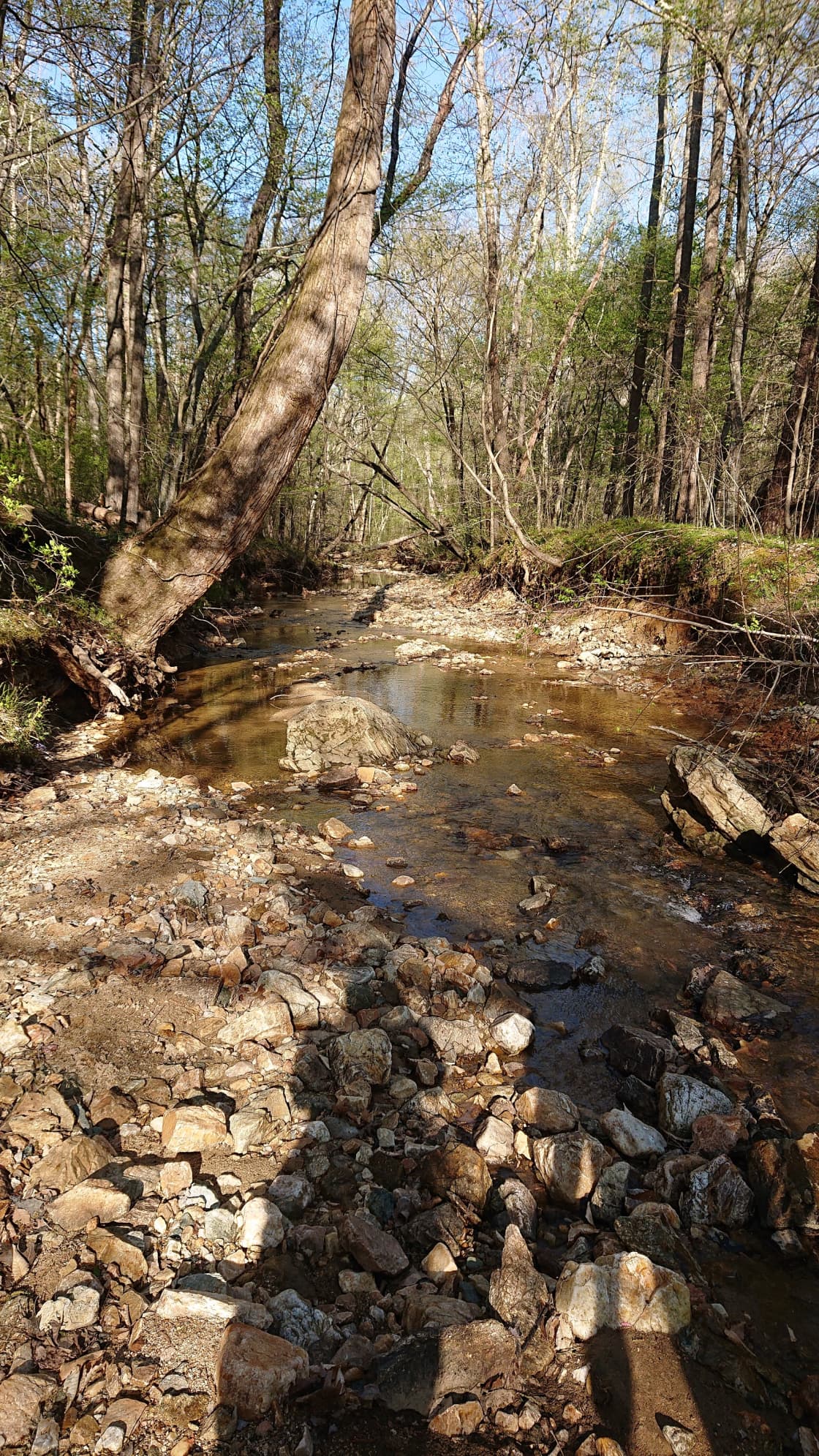 Creek located on the property
