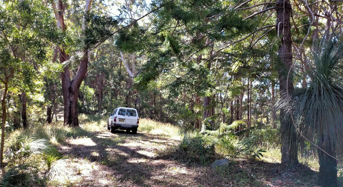 Campsite 2 in the forest on the ridge, with 4wd access track.