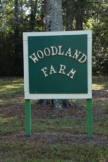 Woodland Farm