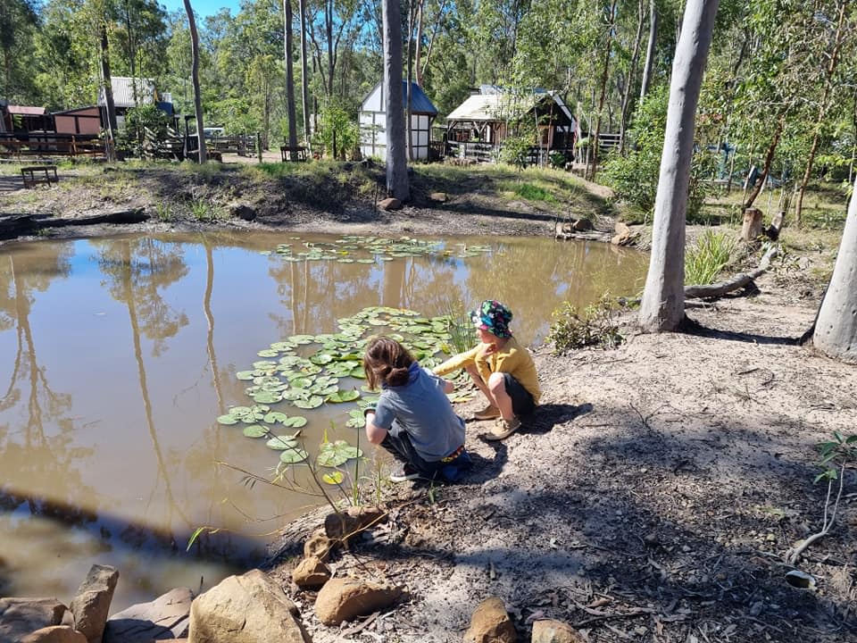 My grandson made a new friend who showed him around. They were looking for frogs at the frog pond.